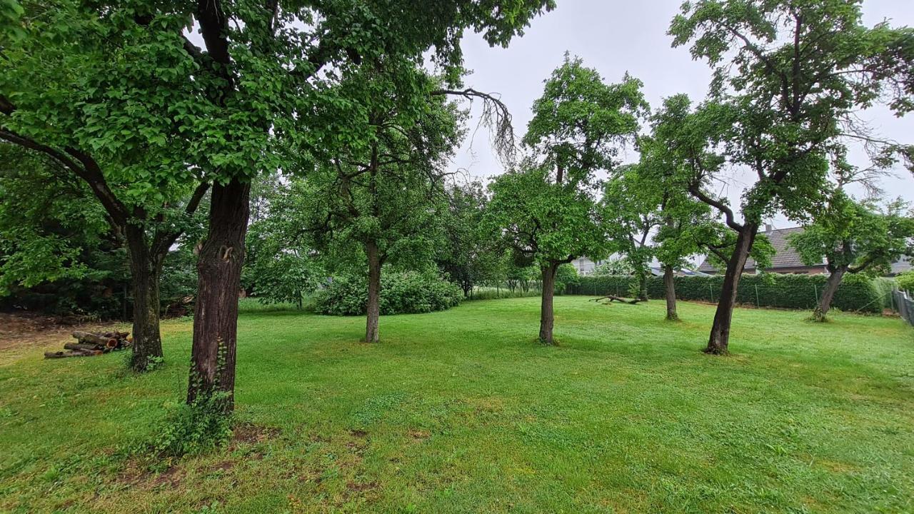 Eifelhof Mit Obstbaumwiese Nideggen Buitenkant foto